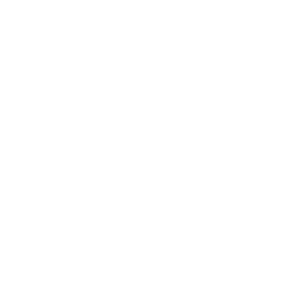 Käytetyt