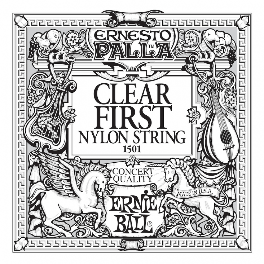 Ernie Ball Kitaran Irtokieli CS-E1