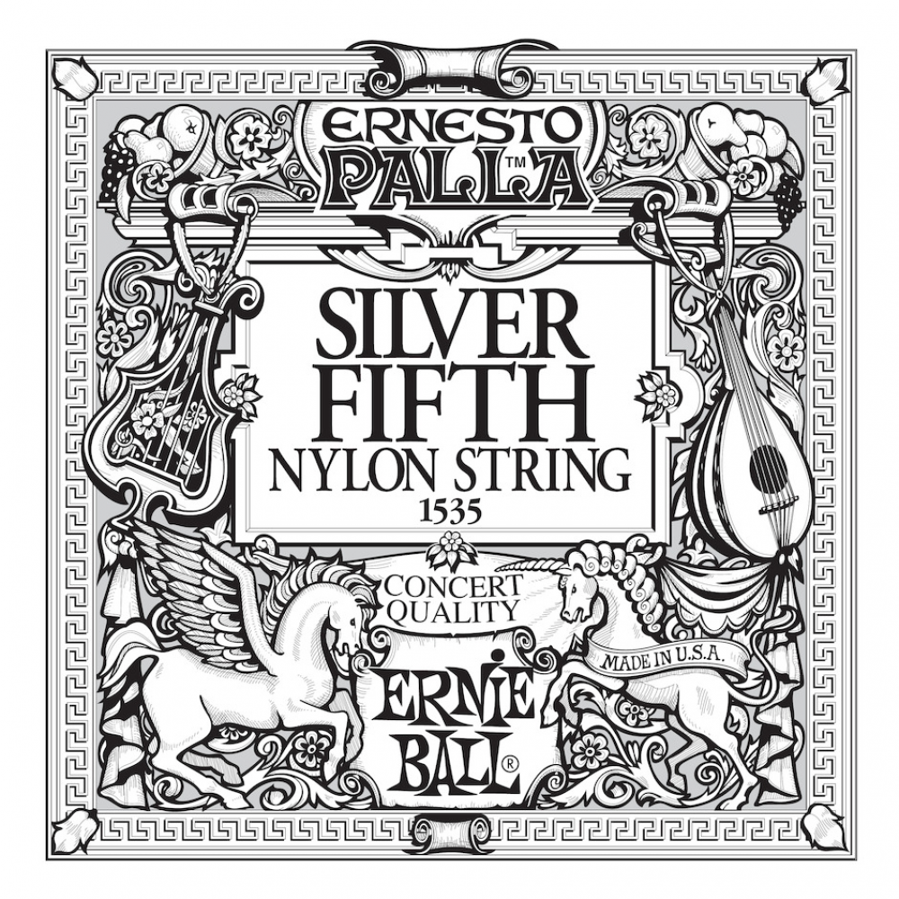 Ernie Ball Kitaran Irtokieli CS-A5