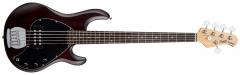 Sterling By Music Man RAY5-WS-R1 Stingray5 Walnut Sterling By Music Man RAY5-WS-R1 Stingray5 Walnut