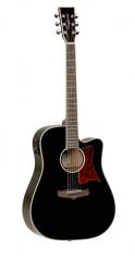 Tanglewood TW5-WB Tanglewood TW5-WB
