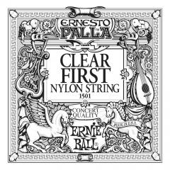 Ernie Ball Kitaran Irtokieli CS-E1