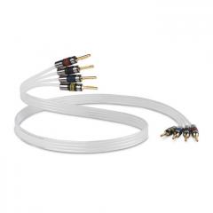 QED Silver Anniversary XT Bi-Wire kaiutinkaapeli, 1m